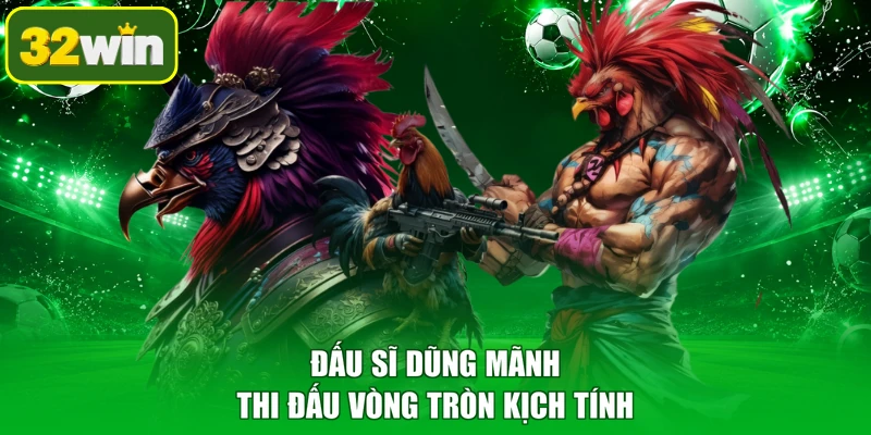 Đấu sĩ dũng mãnh thi đấu vòng tròn kịch tính
