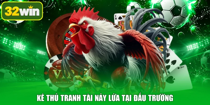 Kê thủ tranh tài nảy lửa tại đấu trường