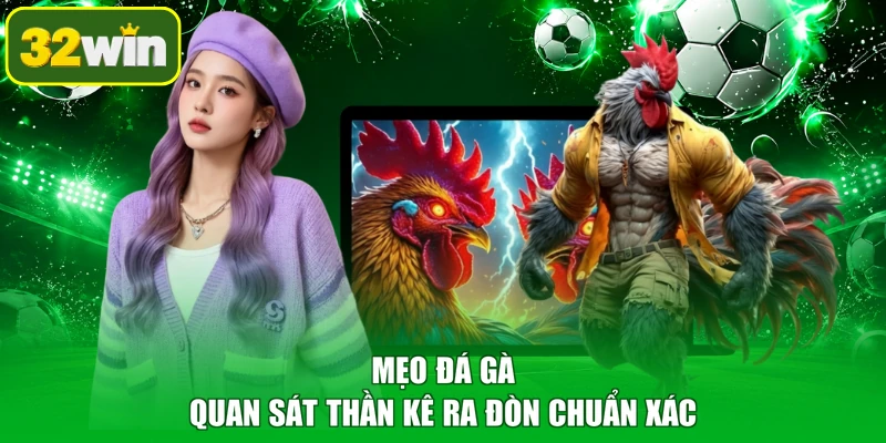 Mẹo đá gà quan sát thần kê ra đòn chuẩn xác